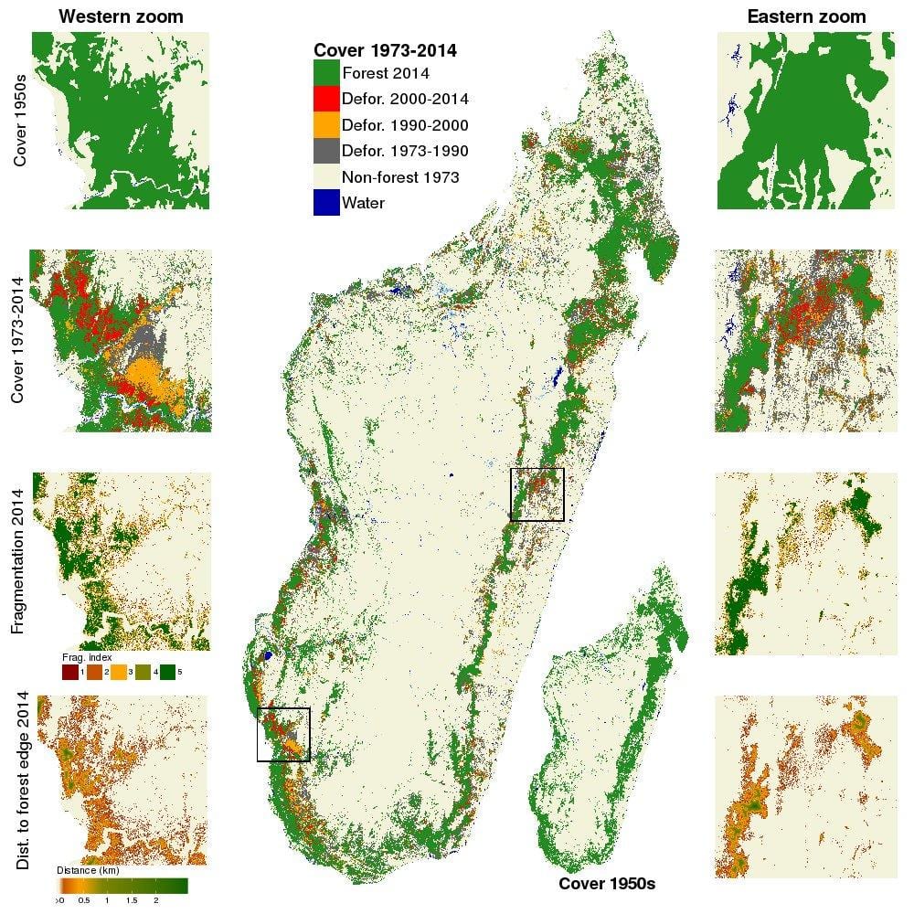 kort af Madagaskar skóga