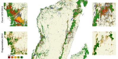 Kort af Madagaskar skóga